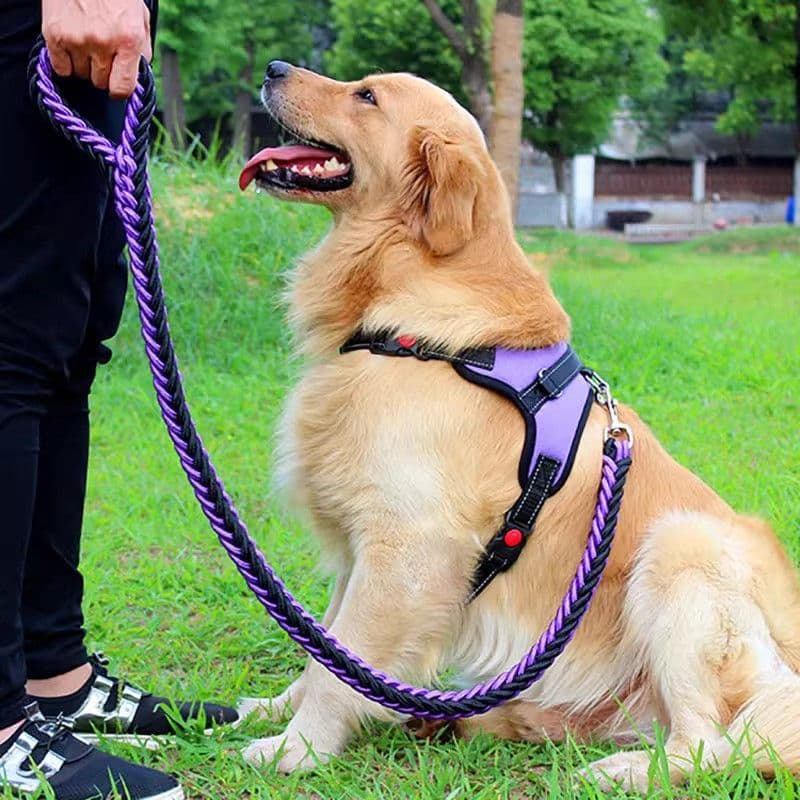 犬 ハーネス やさしくつかむ安心ハーネス