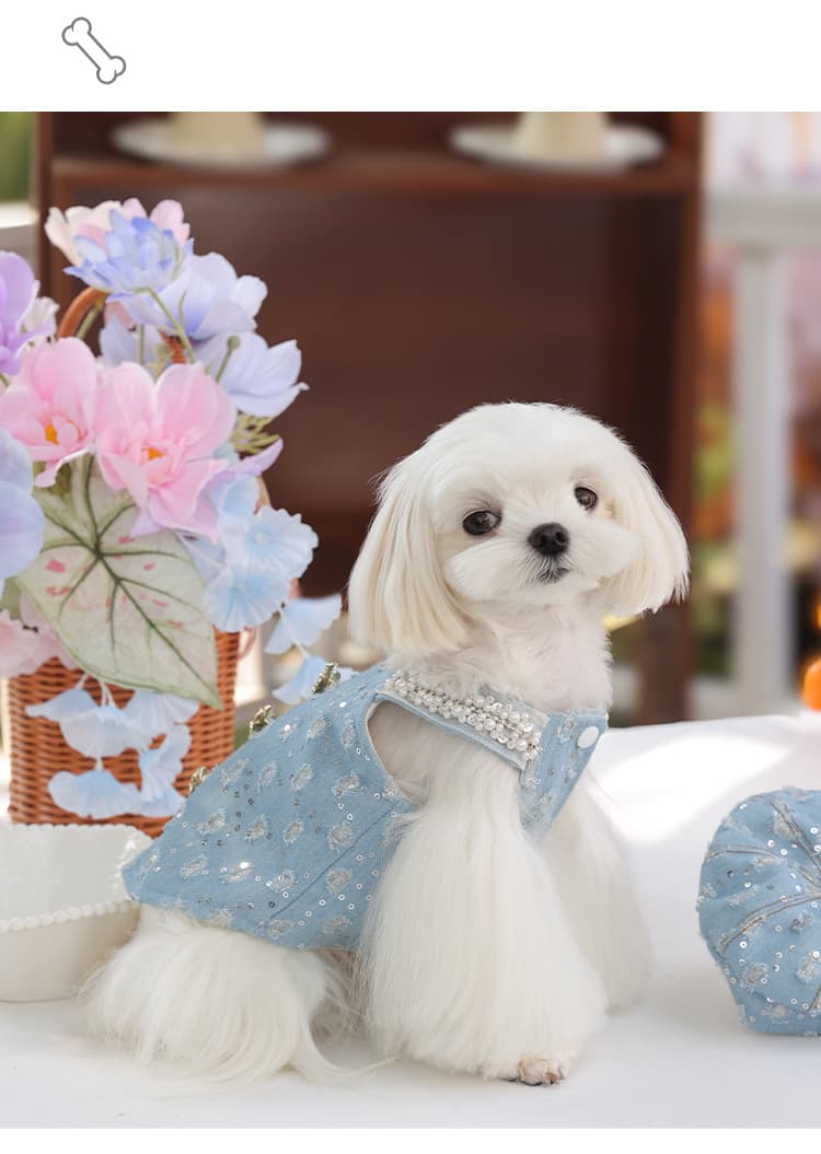 犬 ハーネス 真珠飾り付きデニムベレー帽ハーネスセット