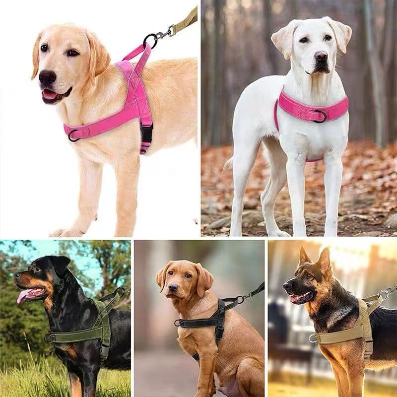 犬 ハーネス やさしさ包む 幅広胴輪