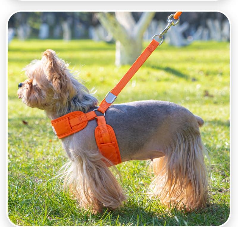犬 ハーネス 愛犬とお散歩ふわっとハーネス