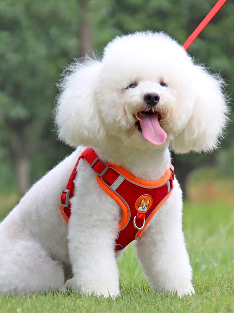 犬 ハーネス 小型犬用 やさしい肌触りメッシュハーネス