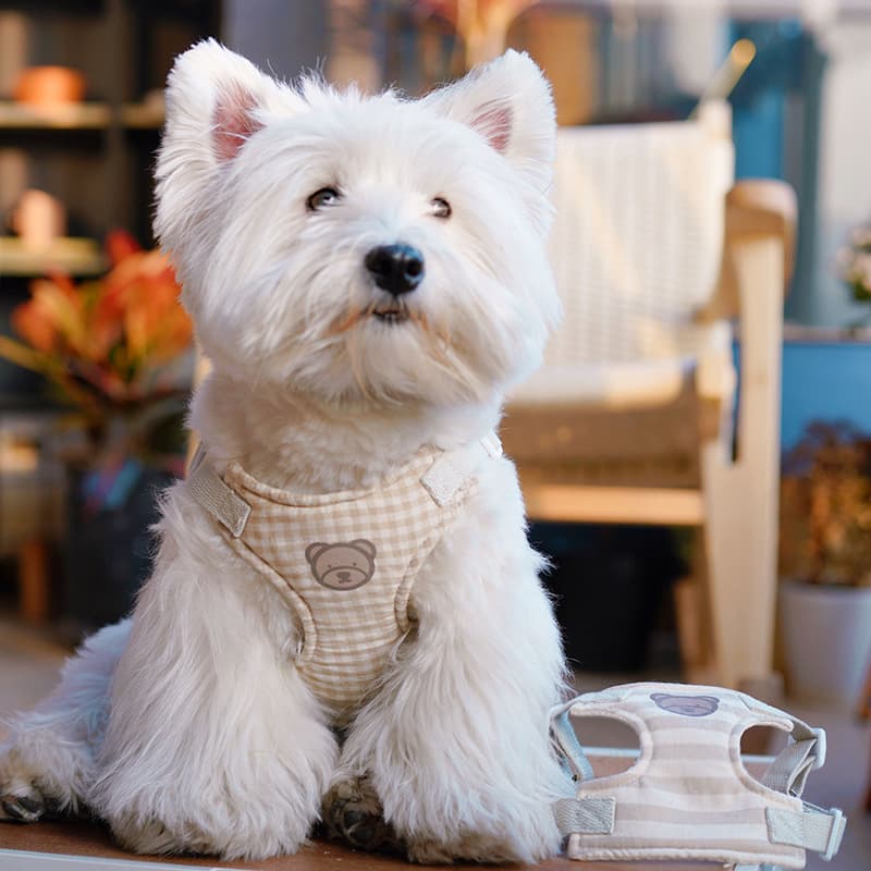 犬 ハーネス くまさんシリーズ ギンガムハーネス