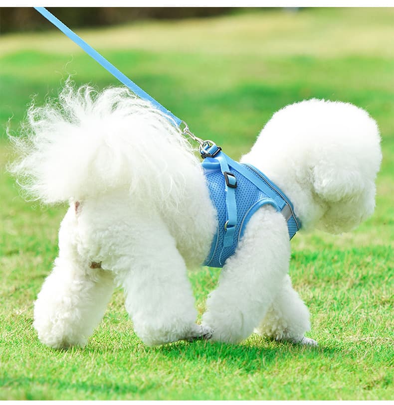 犬 ハーネス やさしい着け心地 ソフトメッシュ胴輪