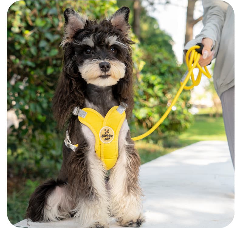 犬 ハーネス ふわもこドリーミングハーネスセット