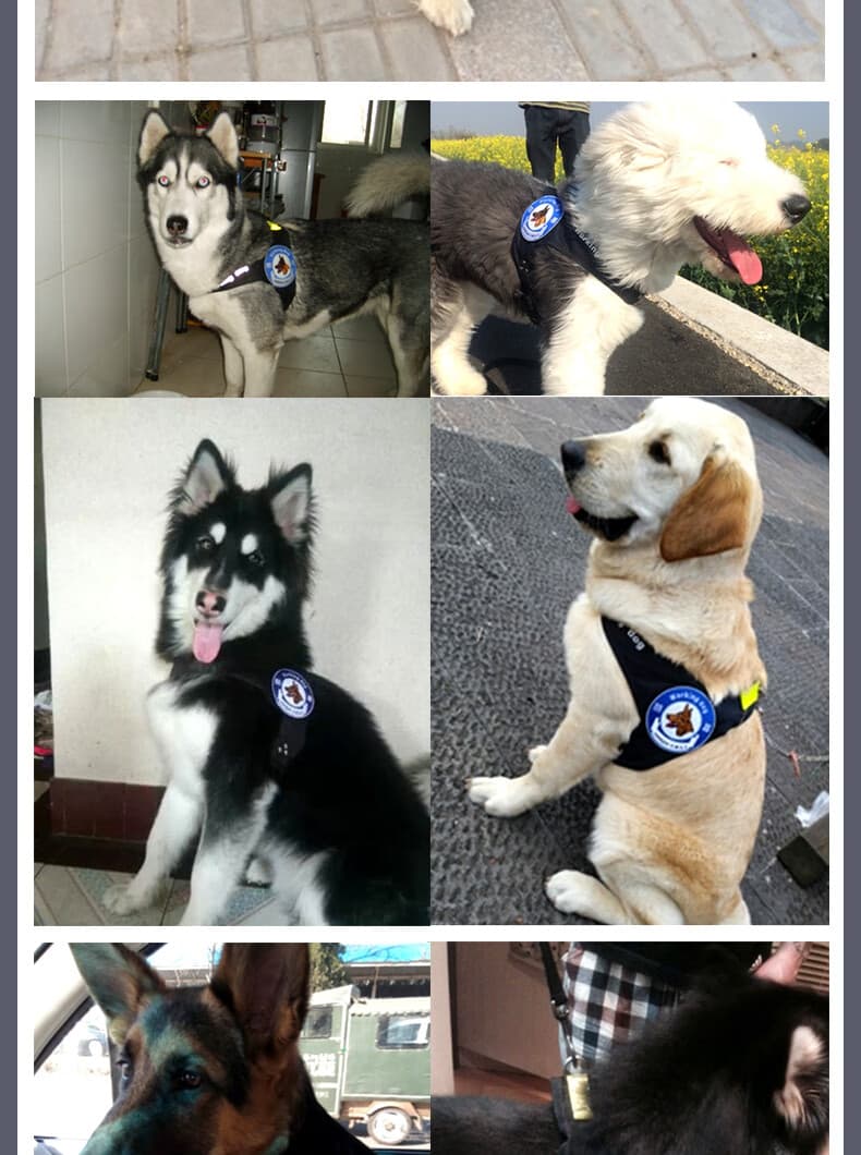 犬 ハーネス アウトドア散歩ハーネス