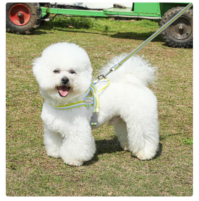 犬 ハーネス ふわもこメッシュ パステルハーネスセット