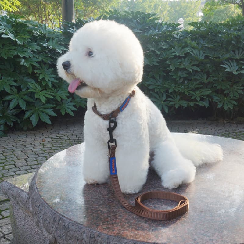 犬 ハーネス シンプル ウェーブフィット ハーネス