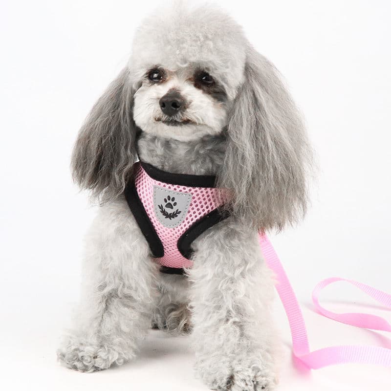 犬 ハーネス やさしい呼吸メッシュハーネス