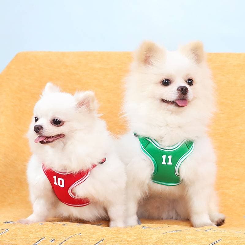 犬 ハーネス スポーティ背番号ハーネス