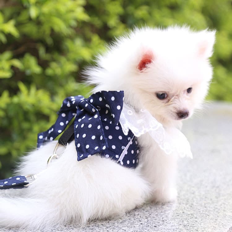 犬 ハーネス フリルレースおしゃれハーネス
