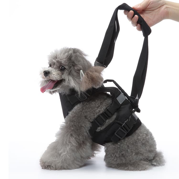 犬 ハーネス 介護用らくらく補助ハーネス