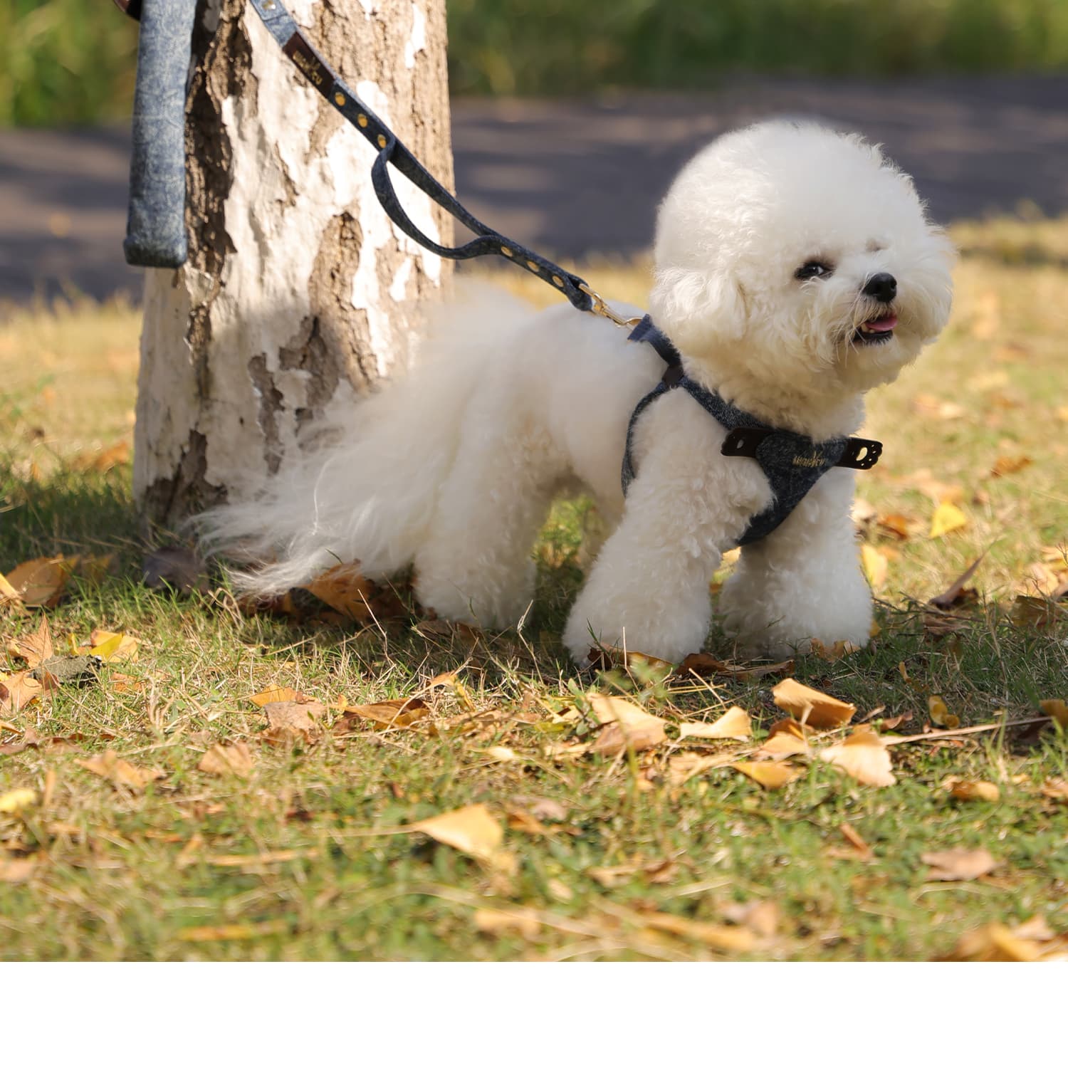 犬 ハーネス しなやかデニムハーネス