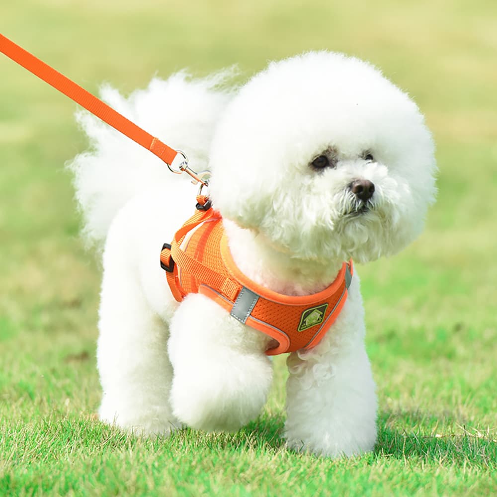 犬 ハーネス やさしい着け心地 ソフトメッシュ胴輪