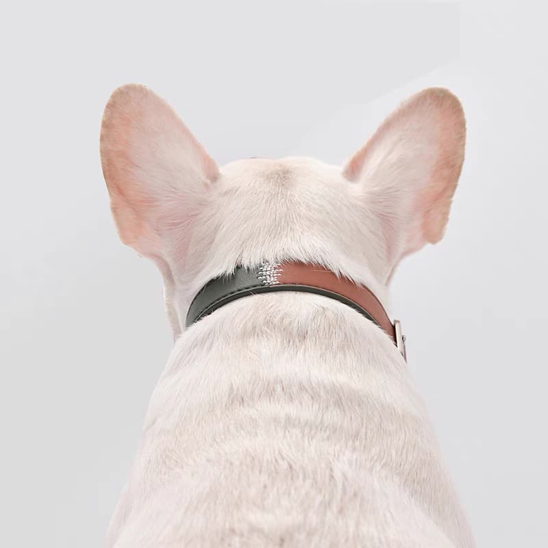 犬 ハーネス なめらか本革首輪セットリード