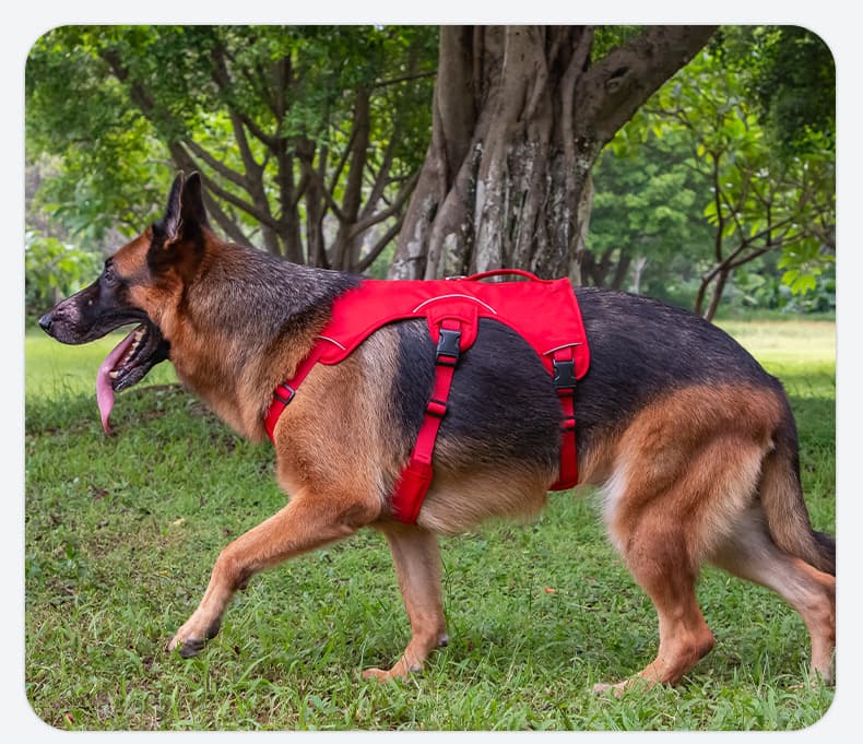 犬 ハーネス 極楽快適 やさしいフィット ペットハーネス