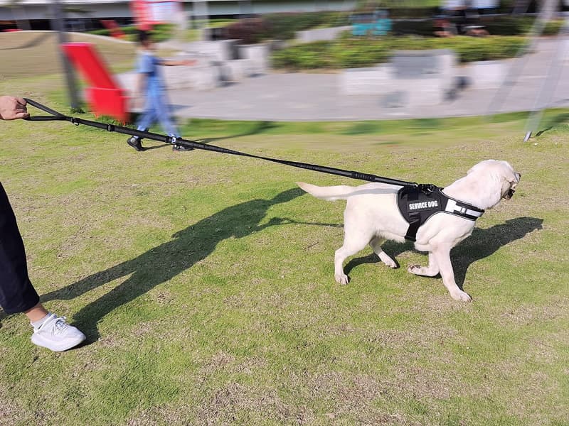 犬 ハーネス 介助犬用上質ハーネス