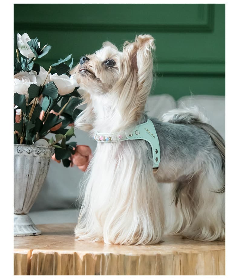 犬 ハーネス プレミアム革製輝石ハーネス