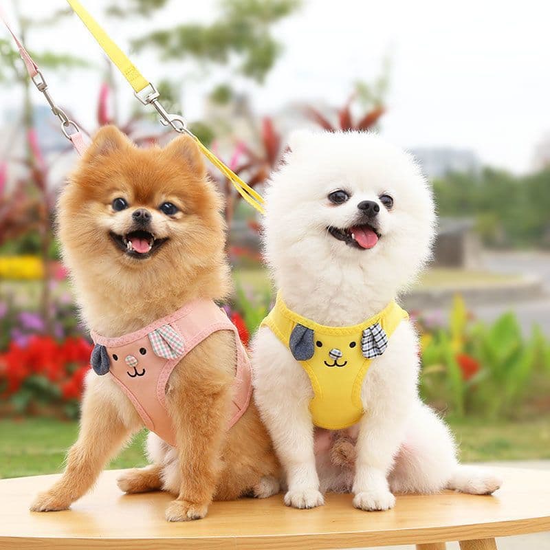 犬 ハーネス 愛らしい子犬用パピーハーネス