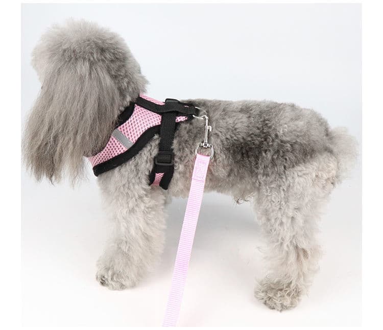 犬 ハーネス やさしい呼吸メッシュハーネス