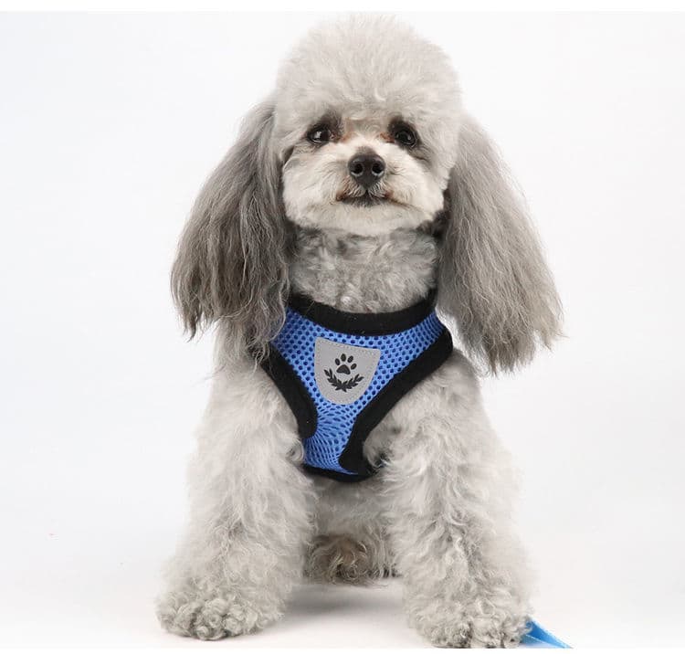 犬 ハーネス やさしい呼吸メッシュハーネス
