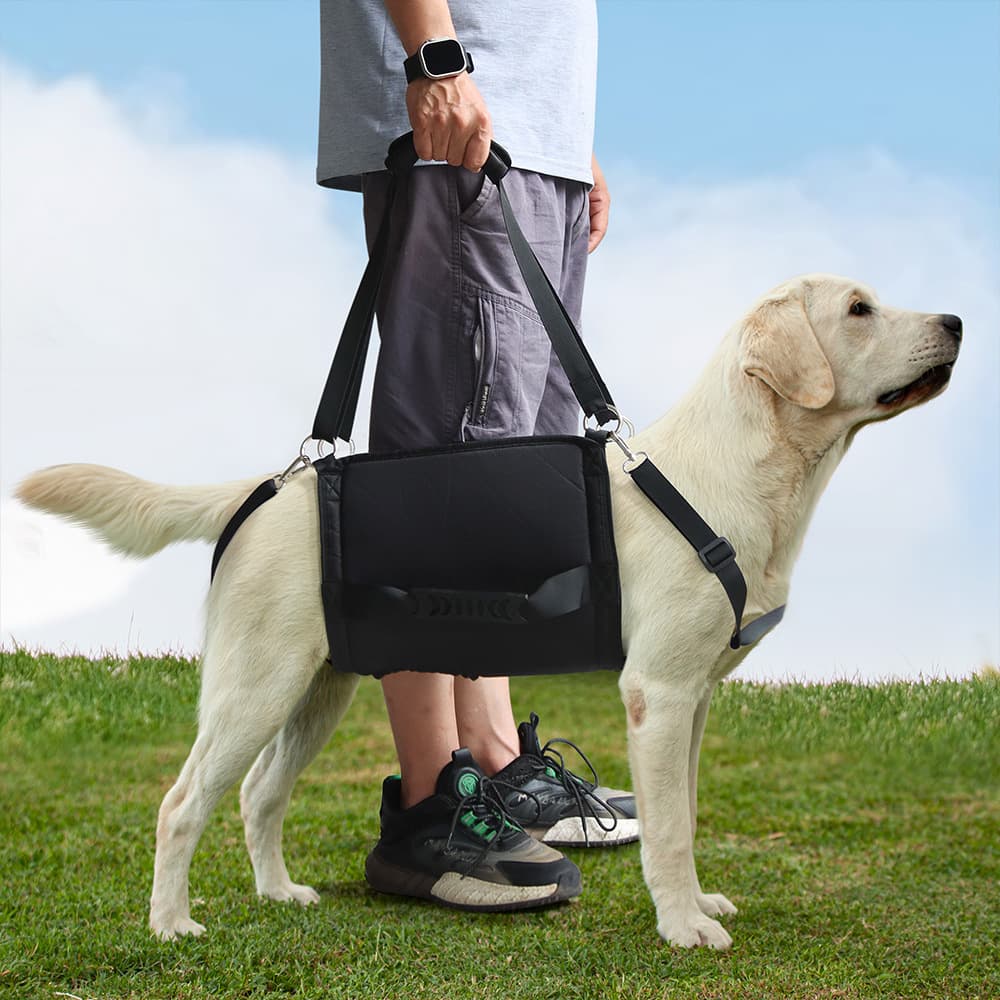 犬 ハーネス 介助犬用らくらくサポートハーネス