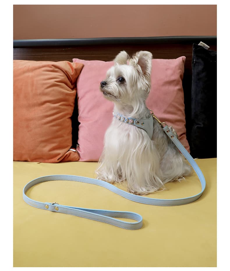 犬 ハーネス プレミアム革製輝石ハーネス