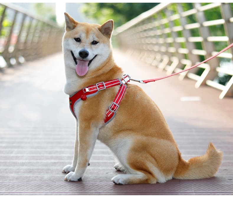 犬 ハーネス やさしい装着ハーネス