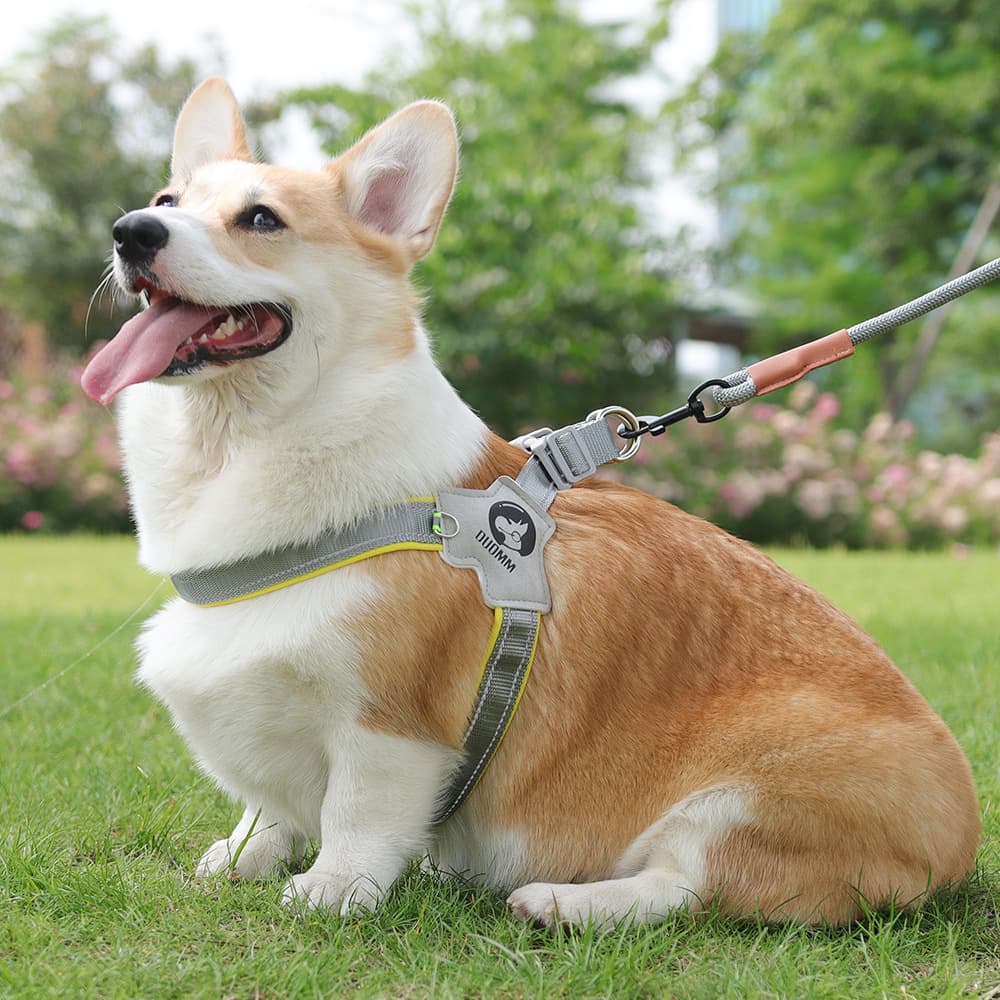 犬 ハーネス こだわり職人の本革ハーネス