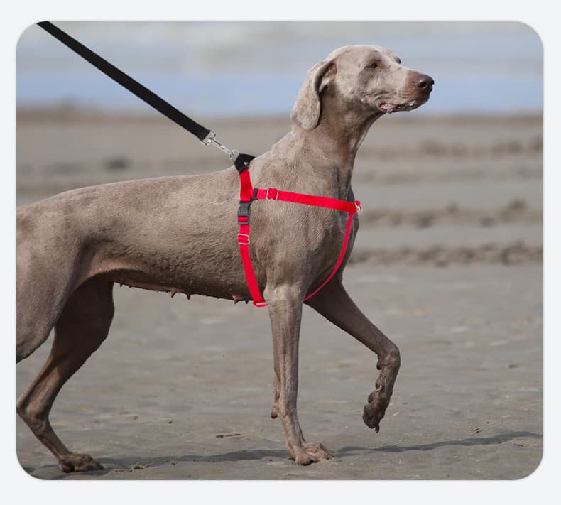 犬 ハーネス 快適フィット シンプルソフトハーネス