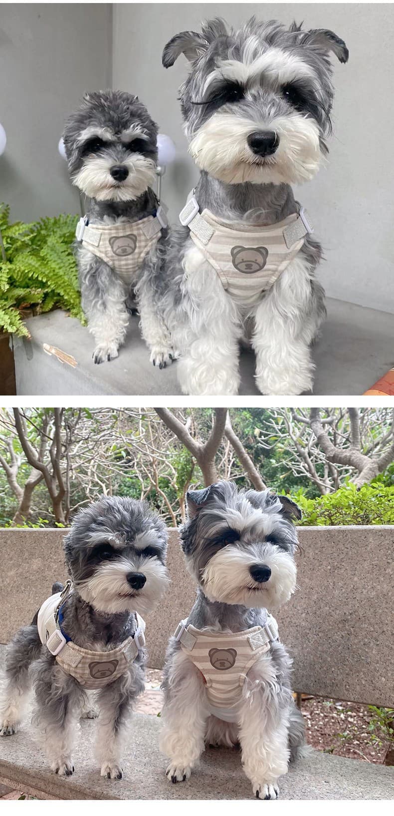 犬 ハーネス くまさんシリーズ ギンガムハーネス