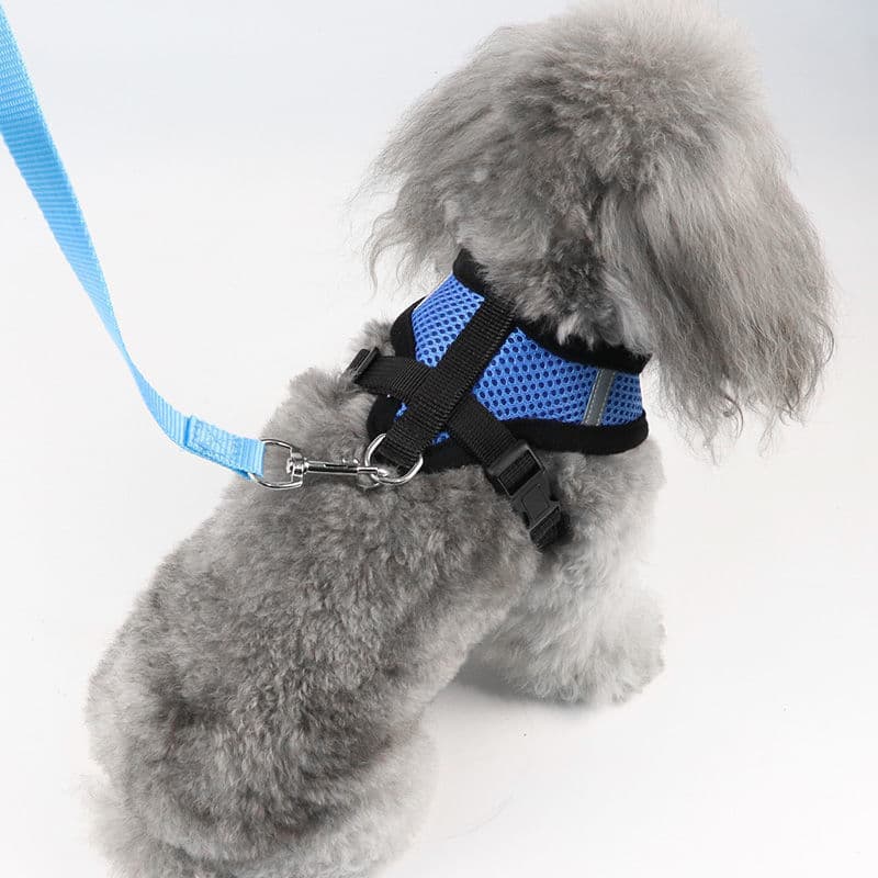 犬 ハーネス やさしい呼吸メッシュハーネス