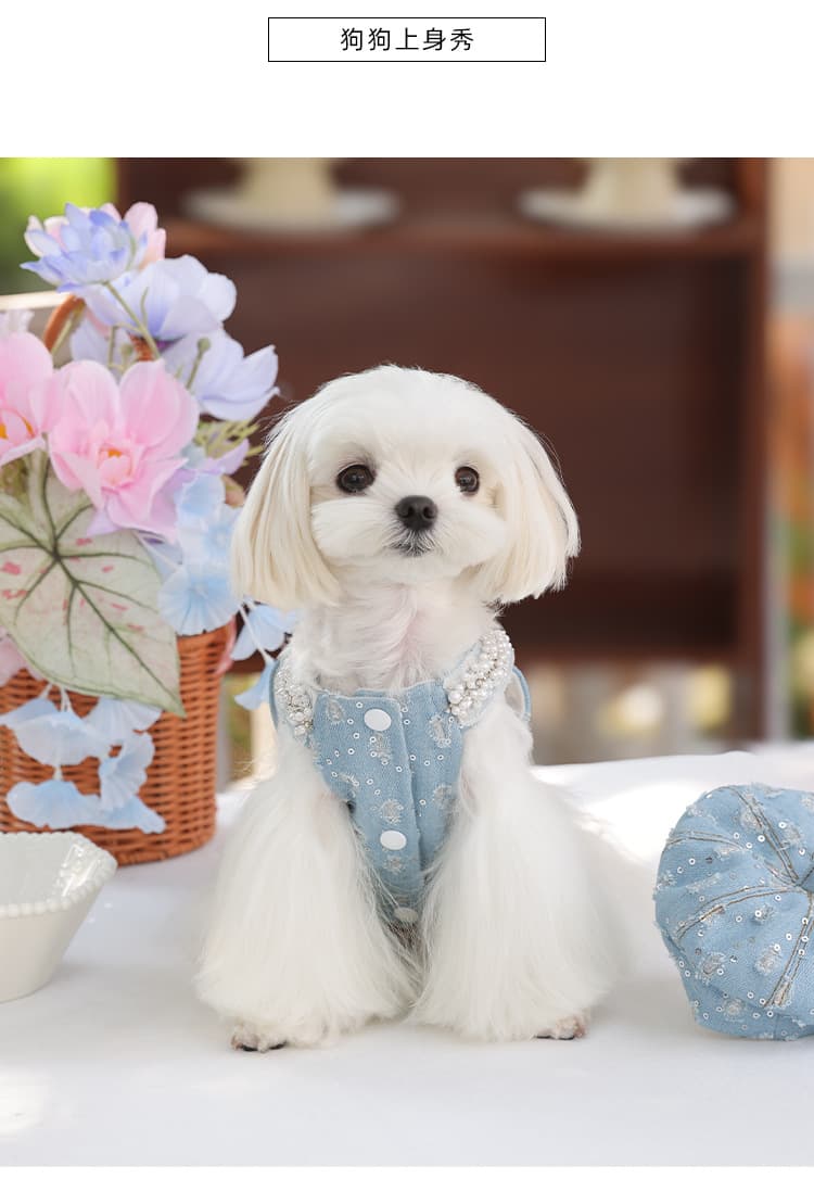 犬 ハーネス 真珠飾り付きデニムベレー帽ハーネスセット