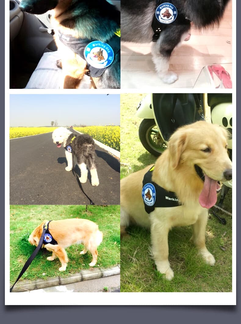 犬 ハーネス アウトドア散歩ハーネス