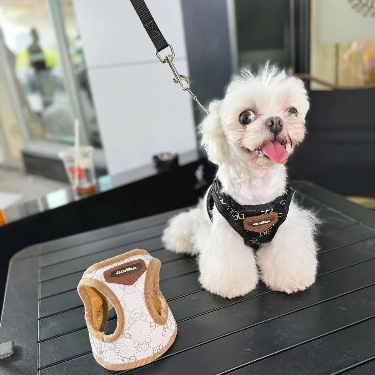 犬 ハーネス モノグラム柄 ウェア安心ハーネス
