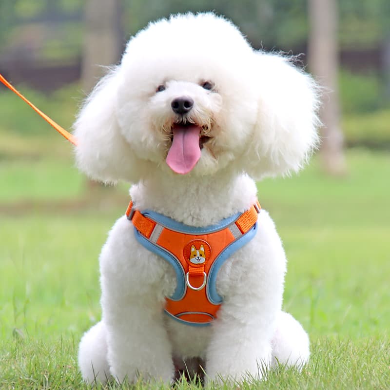 犬 ハーネス 小型犬用 やさしい肌触りメッシュハーネス