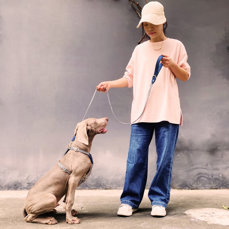 犬 ハーネス なめらか上質ハーネス