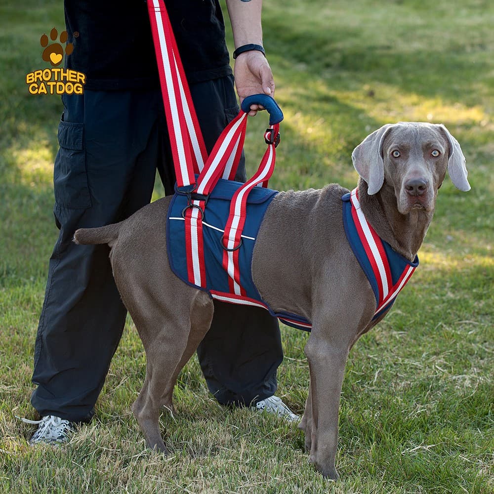 犬 ハーネス リフト補助ハーネス ソリッドスタイル