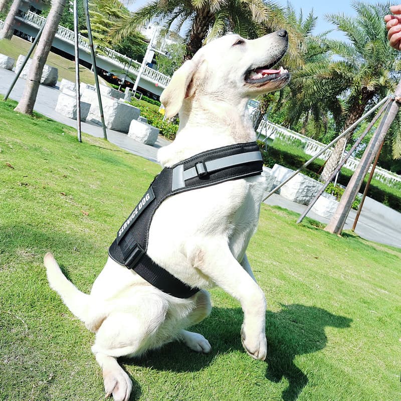 犬 ハーネス 介助犬用上質ハーネス