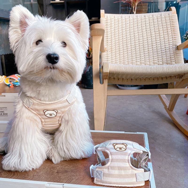 犬 ハーネス くまさんシリーズ ギンガムハーネス