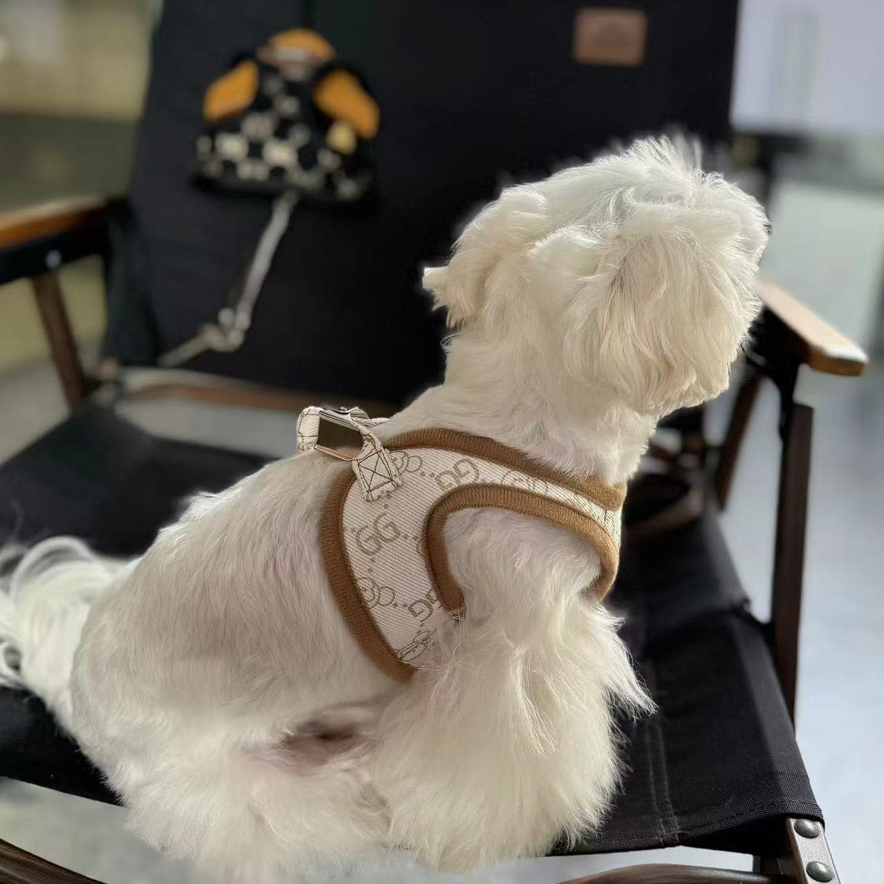 犬 ハーネス モノグラム柄 ウェア安心ハーネス