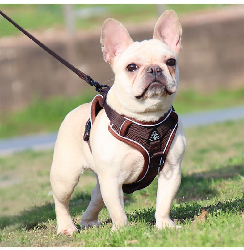 犬 ハーネス シンプル軽量デザインハーネス