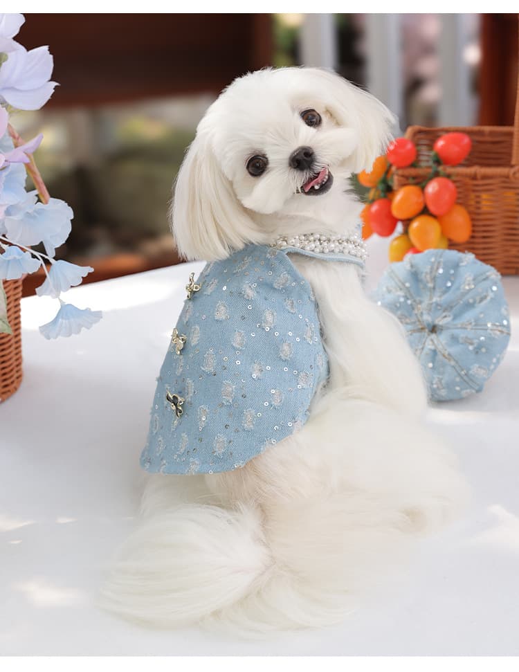 犬 ハーネス 真珠飾り付きデニムベレー帽ハーネスセット