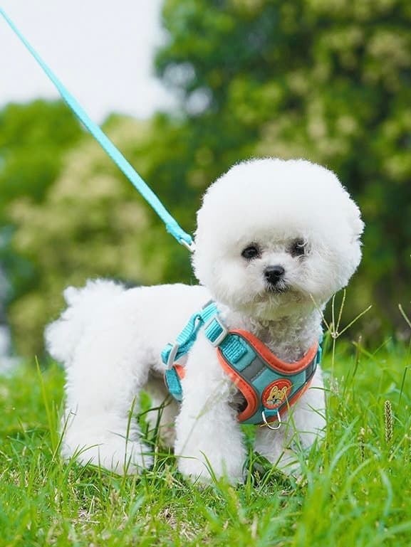 犬 ハーネス ふわもこ子犬のお散歩ハーネス＆リードセット