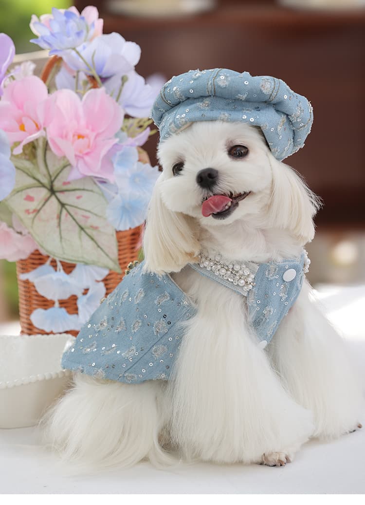 犬 ハーネス 真珠飾り付きデニムベレー帽ハーネスセット
