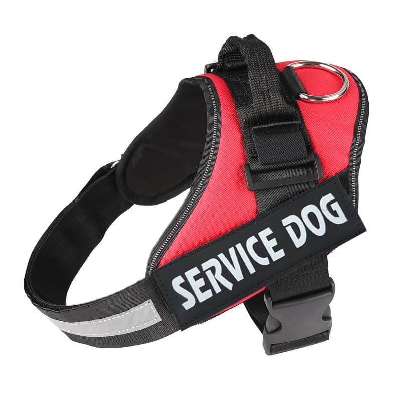 犬 ハーネス やさしい歩行補助ハーネス