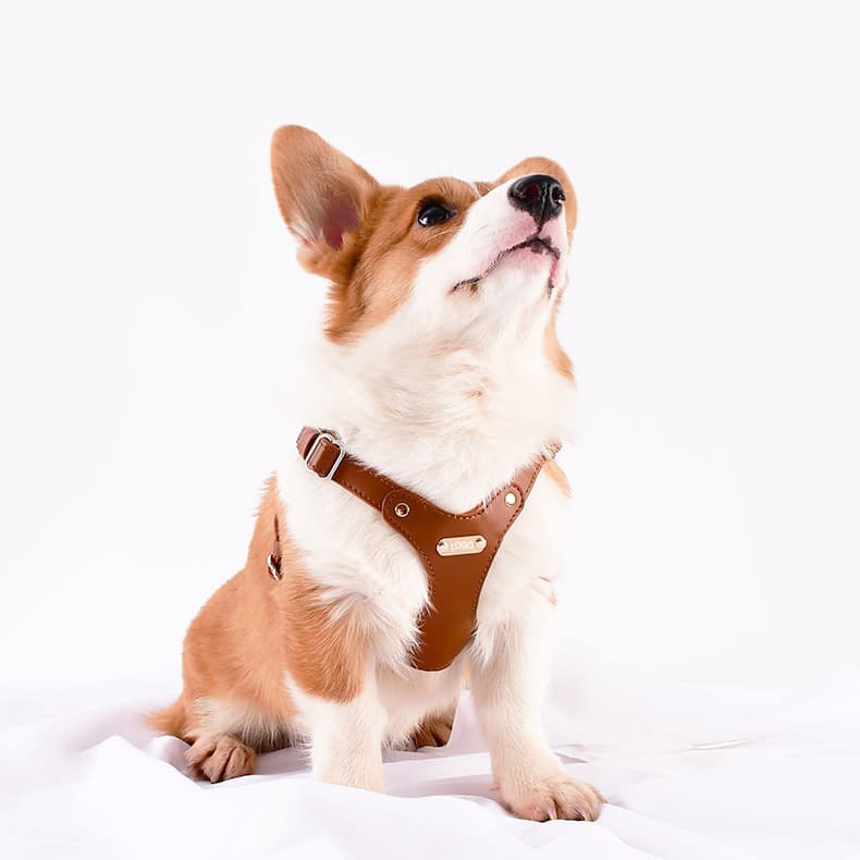 犬 ハーネス 上質な革職人の匠ハーネス