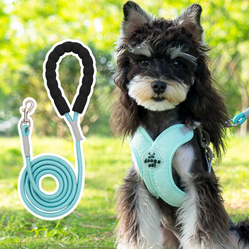 犬 ハーネス ふわもこドリーミングハーネスセット