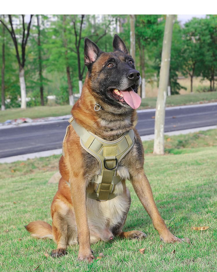 犬 ハーネス アウトドア機能性ハーネス