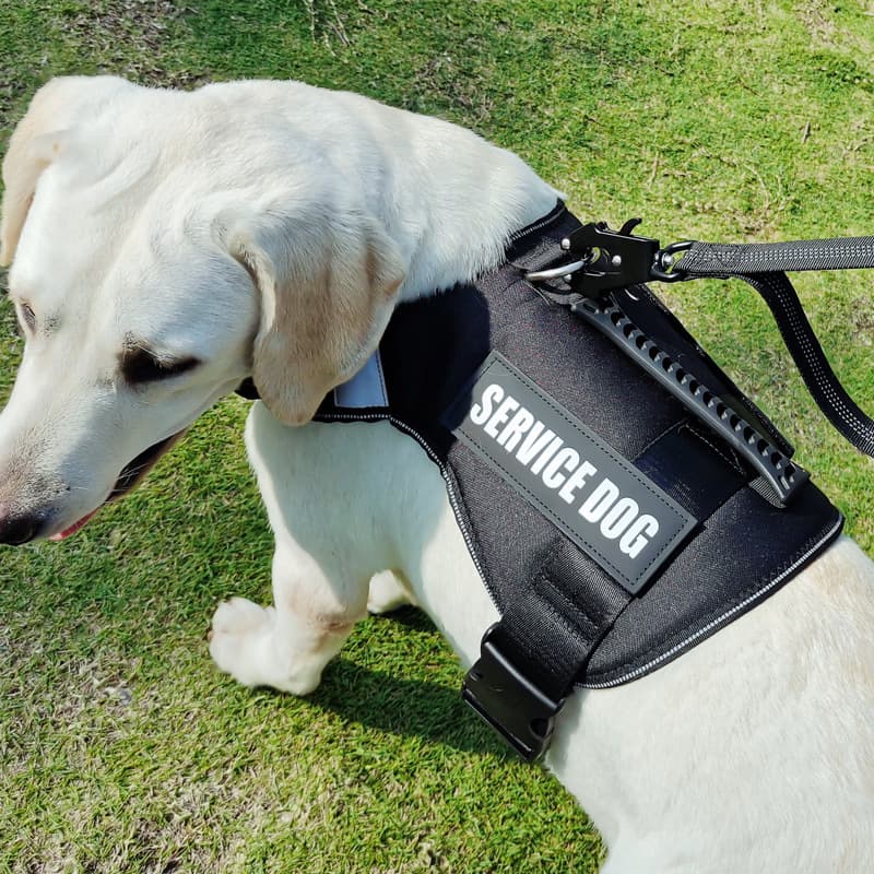 犬 ハーネス 介助犬用上質ハーネス