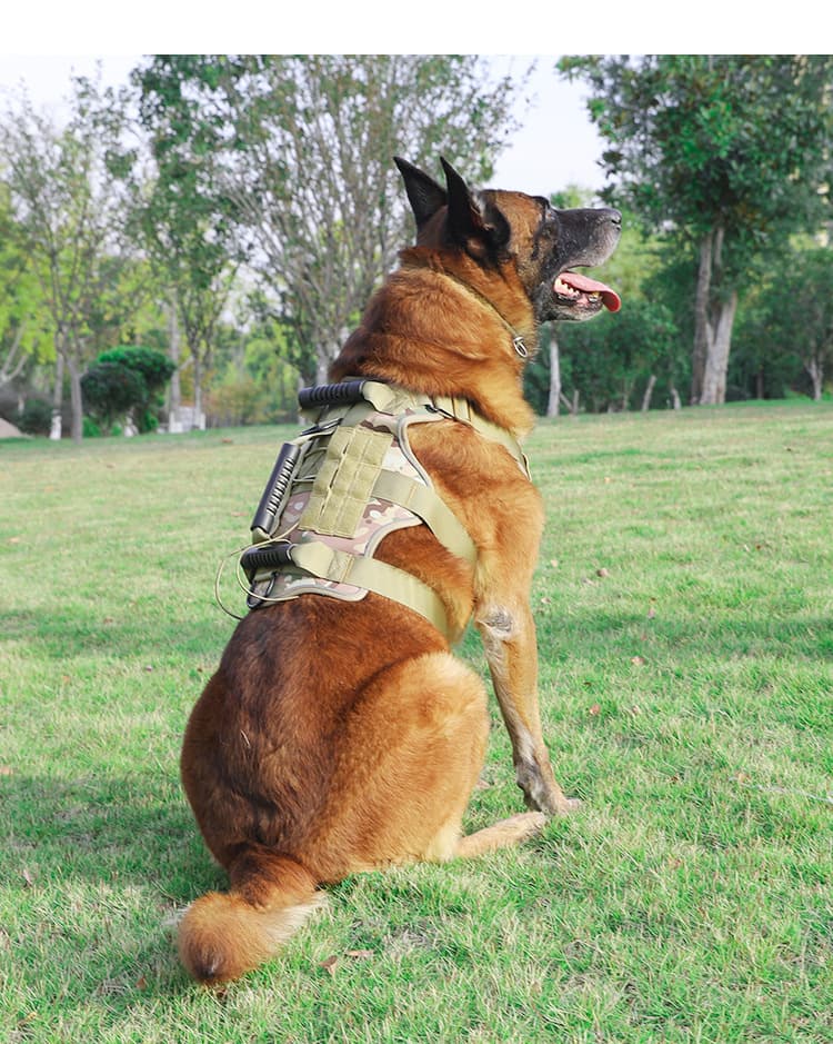 犬 ハーネス 大型犬用アウトドア戦術ハーネス